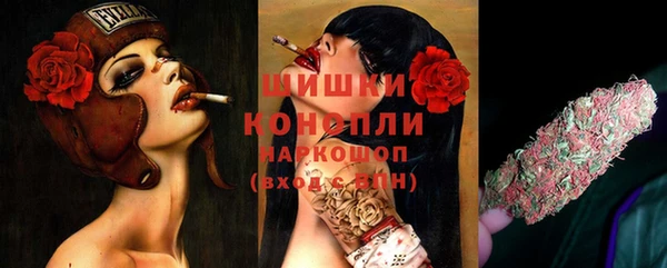 спайс Вяземский