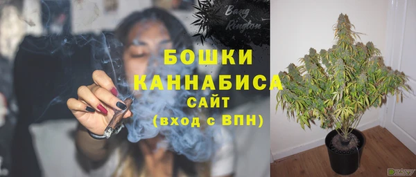 спайс Вяземский