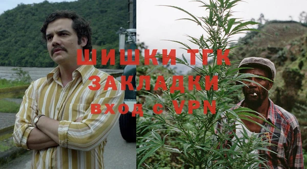 амф Бородино